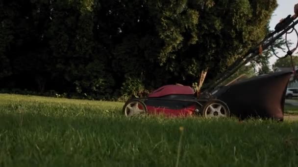 Primo piano di Man erba tagliata con tosaerba nel cortile della casa vicino altalena nel parco giochi. Video al rallentatore — Video Stock