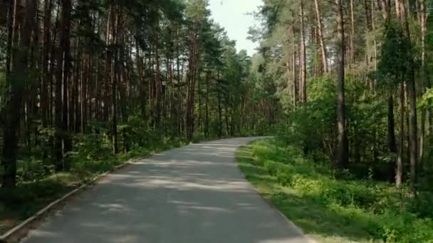 The car goes on the road through a Pine forest . Wide view footage — Stock Video