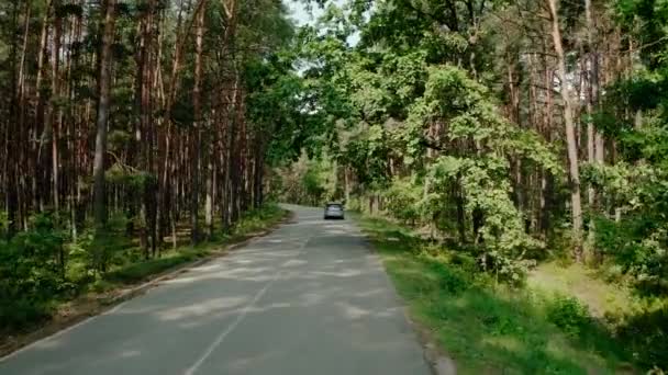 Машина едет по дороге через сосновый лес. Широкий обзор — стоковое видео