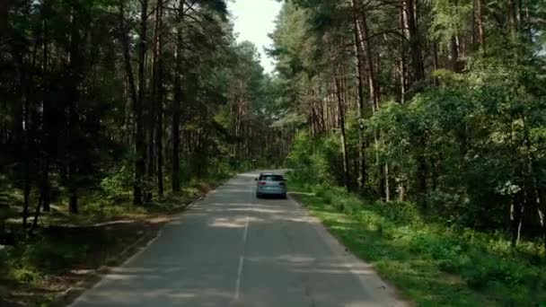 L'auto blu va per strada attraverso una foresta di pini. Ampia vista filmato — Video Stock