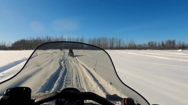 POV vista de Snowmobile passeios através da floresta de pinheiros em câmera lenta — Vídeo de Stock