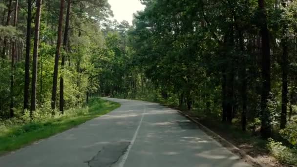 POV uitzicht van de auto gaat op de weg door een dennenbos. Breed beeldmateriaal — Stockvideo