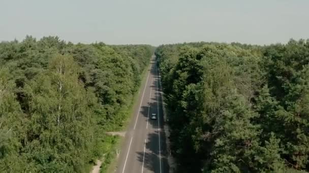 Uitzicht op de drone vanuit de lucht De blauwe auto gaat over de weg door een dennenbos. Breed beeldmateriaal — Stockvideo
