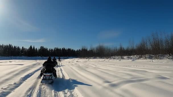 POV view of Two Snowmobile rides through the pine forest in slow motion. — Stock Video