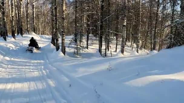 POV view of Two Snowmobile rijdt door het dennenbos slow motion beelden — Stockvideo