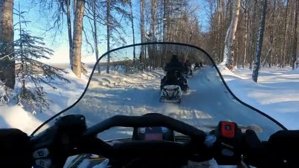 Vista POV. Snowmobile cavalga pela floresta de pinheiros em imagens em câmera lenta — Vídeo de Stock