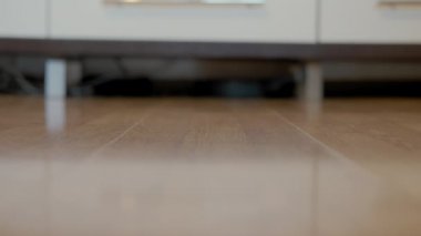 Kapatın. Akıllı elektrikli süpürge robotu oturma odasında ahşap zeminde koşar.