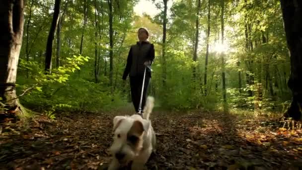 Mulher pés andando o cão na floresta do parque. conceito de viagem. Tiro largo — Vídeo de Stock