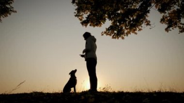 Gün batımında köpeğiyle oynayan ve antrenman yapan kadın siluetleri.
