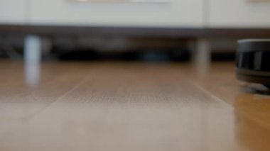 Görüntüleri kapat. Akıllı elektrikli süpürge robotu oturma odasında ahşap zeminde koşar.