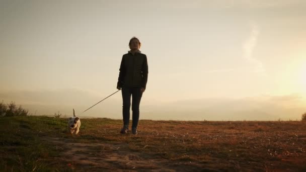 Pieds de femme promenant le chien dans la forêt du parc. concept de voyage. plan large au ralenti — Video