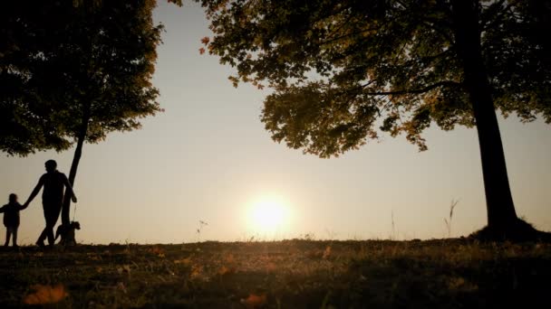 Silhouette di una famiglia che si tiene per mano e cammina con un cane durante il tramonto stupefacente. Colpo largo — Video Stock
