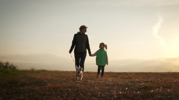 Femme avec sa petite fille promenant le chien dans la forêt du parc. concept de voyage. plan large au ralenti — Video