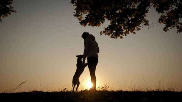 Gün batımında köpeğiyle oynayan ve antrenman yapan kadın siluetleri. Yavaş çekim — Stok video