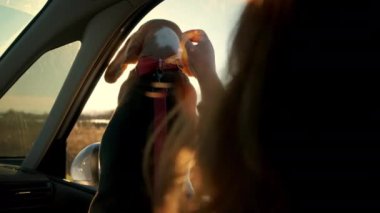 Köpeğiyle arabada seyahat eden güzel bir genç kadın. Kapat.