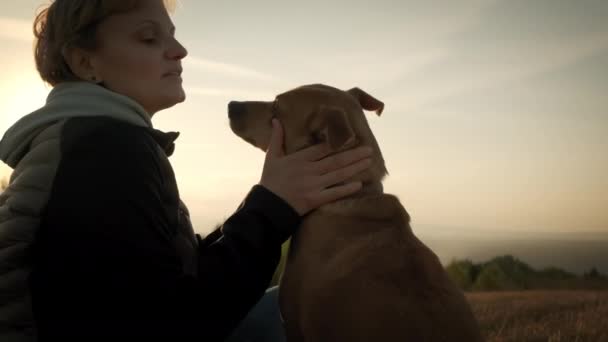靠近点在令人惊奇的日落中与狗坐在一起的女人的轮廓 — 图库视频影像