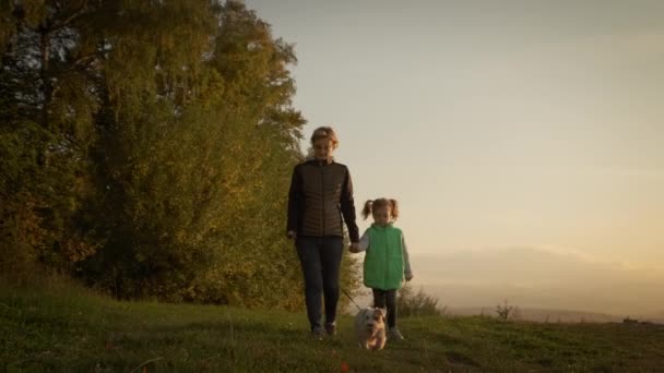 Femme avec sa petite fille promenant le chien dans la forêt du parc. concept de voyage. Déplacer caméra — Video
