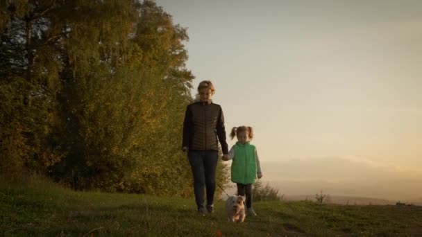 Mujer con hija pequeña paseando al perro en el bosque del parque. concepto de viaje. Mover cámara — Vídeos de Stock