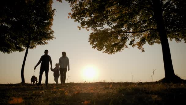 Siluetas de una familia tomados de la mano y paseando con un perro durante la increíble puesta de sol. Imágenes en cámara lenta — Vídeo de stock