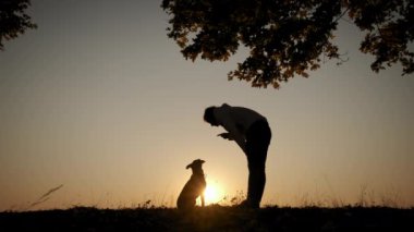 Gün batımında köpeğiyle oynayan ve antrenman yapan kadın siluetleri. Yavaş çekim görünümü