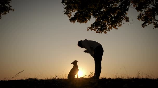 Siluetas de mujer entrenando y jugando con su perro durante el increíble atardecer. Vista en cámara lenta — Vídeo de stock