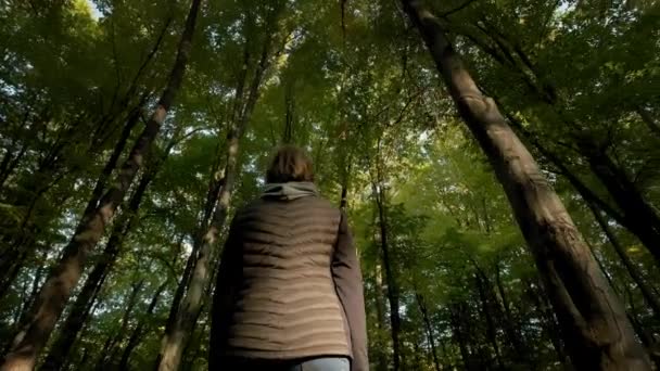 Wide view of Young woman walking through tall trees in forest. Move camera — Stock Video