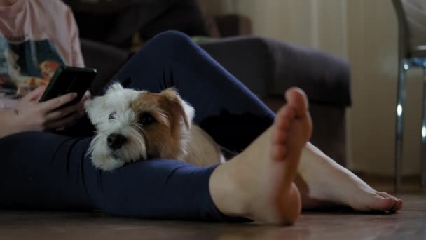 Jeune fille assise sur le sol avec son chien Jack Russell Terrier et travaillant sur un smartphone, tablette — Video