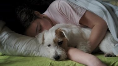 Genç bir kız Jack Russell Terrier köpeği ile yatakta yatıyor. - Evet. Çocukların ve evcil hayvanlarının dostluğu