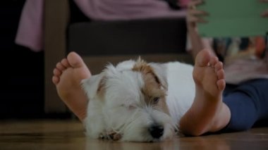 Genç kız köpeği Jack Russell Terrier ile yerde oturuyor ve akıllı bir telefon üzerinde çalışıyor.