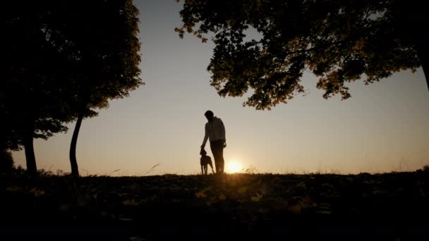 Silhuetas de mulher treinando e brincando com seu cão durante o pôr do sol incrível. A filmagem é em câmera lenta — Vídeo de Stock