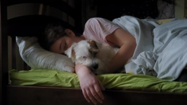 Genç bir kız Jack Russell Terrier köpeği ile yatakta yatıyor. - Evet. Çocukların ve evcil hayvanlarının arkadaşlığı. Geniş görünüm