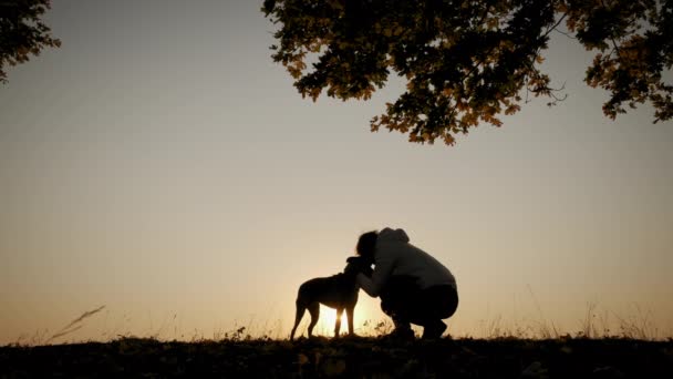 驚くべき日没の間に女性の訓練と彼女の犬と遊ぶのシルエット。スローモーション映像 — ストック動画