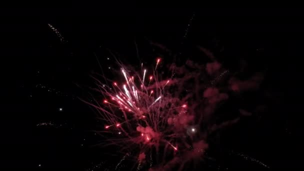 Ralentir la vidéo feux d'artifice célébration de l'affichage, — Video