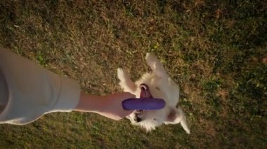 Kız, Jack Russell 'ıyla oynuyordu. Çekiciyi fırlattı. Yavaş çekim