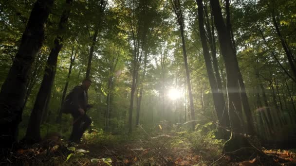 Mand med rygsæk og med en hund, der går gennem høje træer i skoven. Bred billedoptagelse – Stock-video