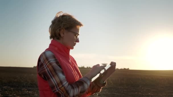 Farmer woman working with tablet in field analyzes quality of crop before harvesting. Middle shot — Stock Video