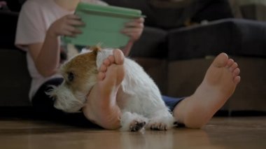 Genç kız köpeği Jack Russell Terrier ile yerde oturuyor ve akıllı bir telefon, tablet üzerinde çalışıyor.