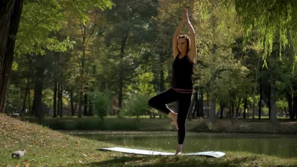 Široký pohled na ženu stojí na podložce jógy a cvičí jógu protahování cvičení venku za slunečného dne. zpomalený záznam — Stock video