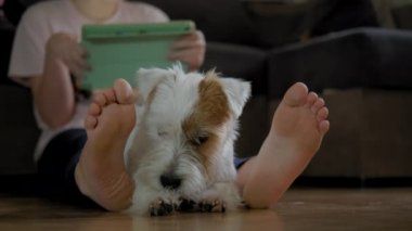 Genç kızın köpeği Jack Russell Terrier ile yerde oturup akıllı telefon ve tablet üzerinde çalışmasını yakından çek.