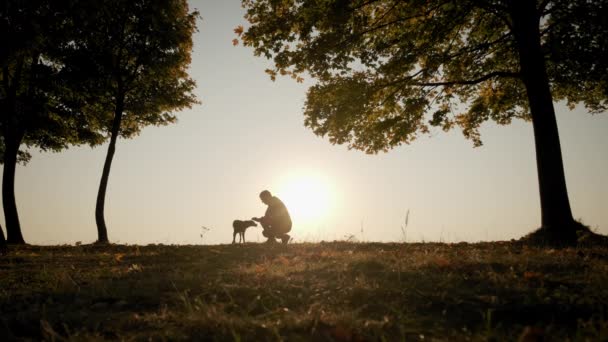 Tegen de achtergrond van de feloranje zonsondergang hemel Silhouetten van een man wandelen met een hond tijdens een geweldige zonsondergang. Slow motion beelden — Stockvideo