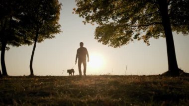 Parlak turuncu günbatımı gökyüzünün arka planında inanılmaz günbatımında köpekle yürüyen bir adamın siluetleri. Yavaş çekim.