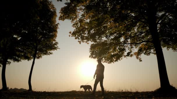 Contra el fondo del cielo naranja brillante del atardecer Siluetas de un hombre que camina con un perro durante el atardecer increíble. Imágenes en cámara lenta — Vídeo de stock