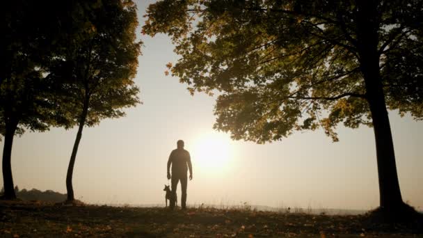 Contra o fundo do céu de pôr-do-sol laranja Silhuetas de um homem andando com um cão durante o pôr-do-sol incrível. Filmagem em câmara lenta — Vídeo de Stock