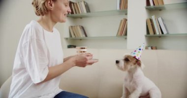 Jack Russell köpeğiyle birlikte genç bir aile evde doğum günü partisini kutluyor. Şerefe.