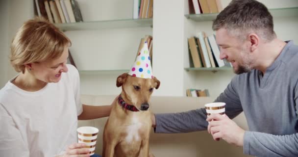 Молода сім'я зі своїм собакою святкує день народження вдома. Вболівальники — стокове відео