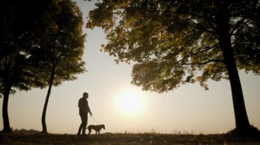 Parlak turuncu günbatımı gökyüzünün arka planında inanılmaz günbatımında köpekle yürüyen bir adamın siluetleri. Yavaş çekim.
