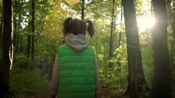 Little girl walking through tall trees in forest. — Stock Video