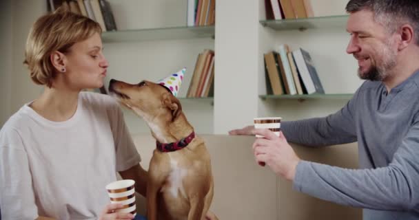 Ung familj med sin hund firar födelsedagsfest hemma. Skål. Långsamma rörelser — Stockvideo
