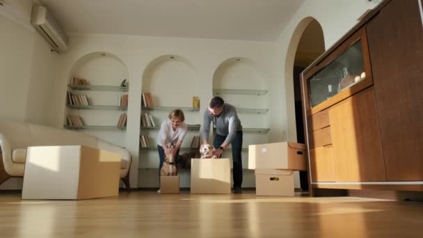 Excited happy young parents run push cardboard boxes ride insideand pets dog Jack Russel , family homeowners playing having fun on moving day. Slow motion — Vídeo de Stock