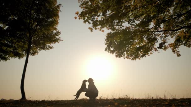 Sullo sfondo del cielo arancio tramonto silhouette di formazione donna e giocare con il suo cane durante il tramonto sorprendente — Video Stock